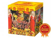 Красивая жизнь Фейерверк купить в Северо-Курильске | severo-kurilsk.salutsklad.ru