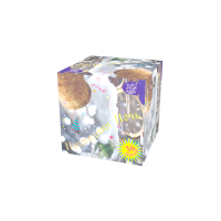 Новогодняя ночь Салют купить в Северо-Курильске | severo-kurilsk.salutsklad.ru