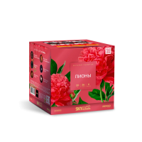 Пионы Салют купить в Северо-Курильске | severo-kurilsk.salutsklad.ru