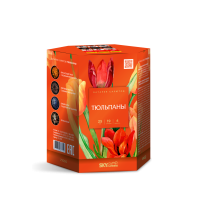 Тюльпаны Салют купить в Северо-Курильске | severo-kurilsk.salutsklad.ru