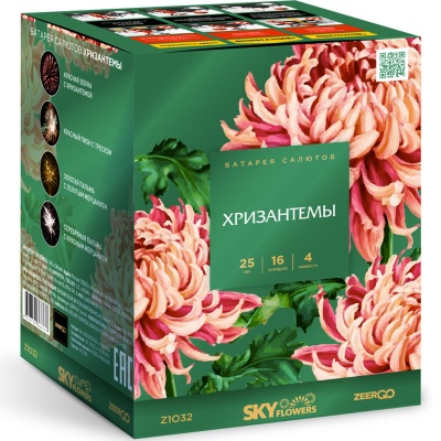 Хризантемы Фейерверк купить в Северо-Курильске | severo-kurilsk.salutsklad.ru