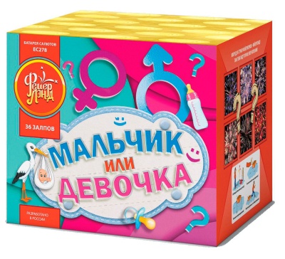 Мальчик или девочка М Фейерверк купить в Северо-Курильске | severo-kurilsk.salutsklad.ru